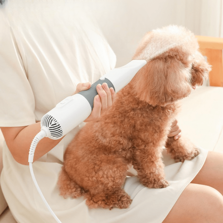 Secador de Pelo Ergonómico para Mascotas con Calor Ajustable para un Aseo Rápido y Fácil