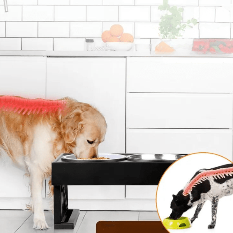 Comedero Elevado Cómodo para Perro con Alfombrilla Antideslizante