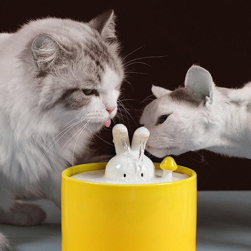 Dispensador de agua elegante para un conejo sano y feliz