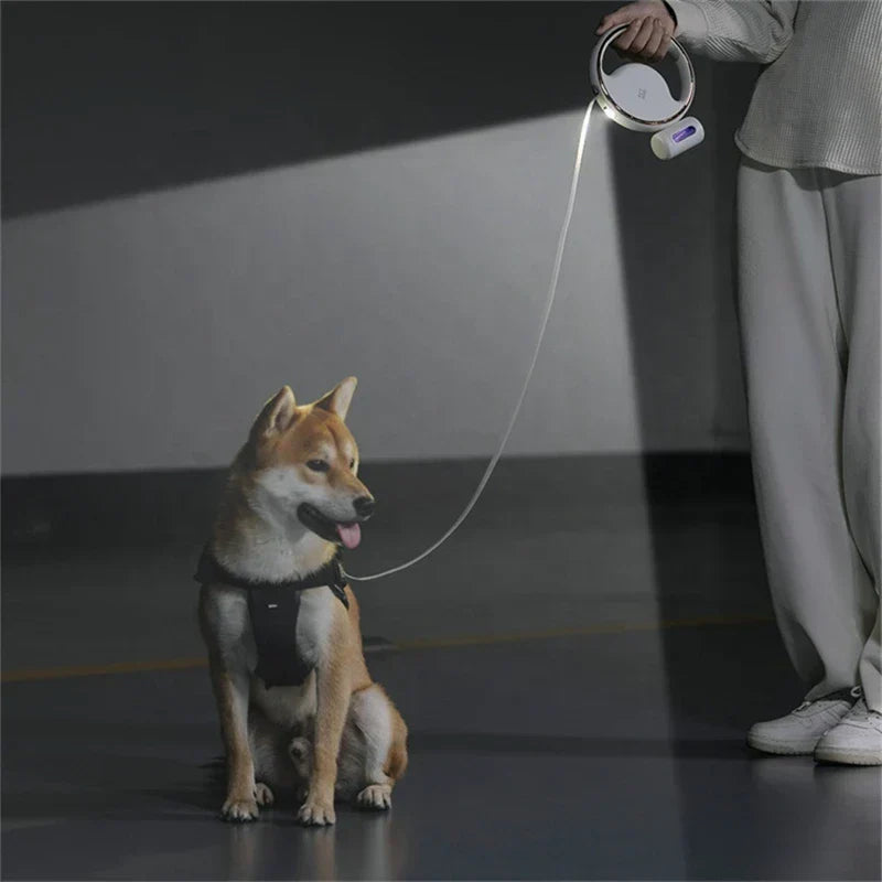 Correa extensible para perro para control y conveniencia definitivos