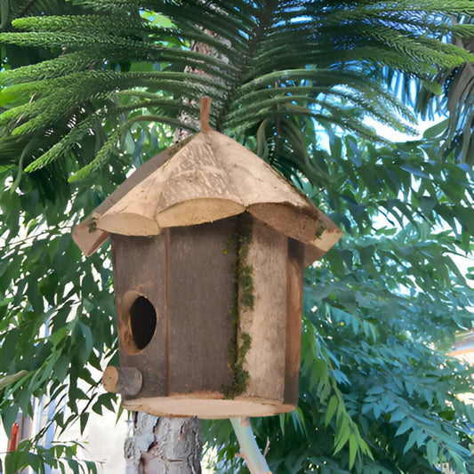 Domus - Encantadora casa rústica de madera para pájaros con diseño de colibrí
