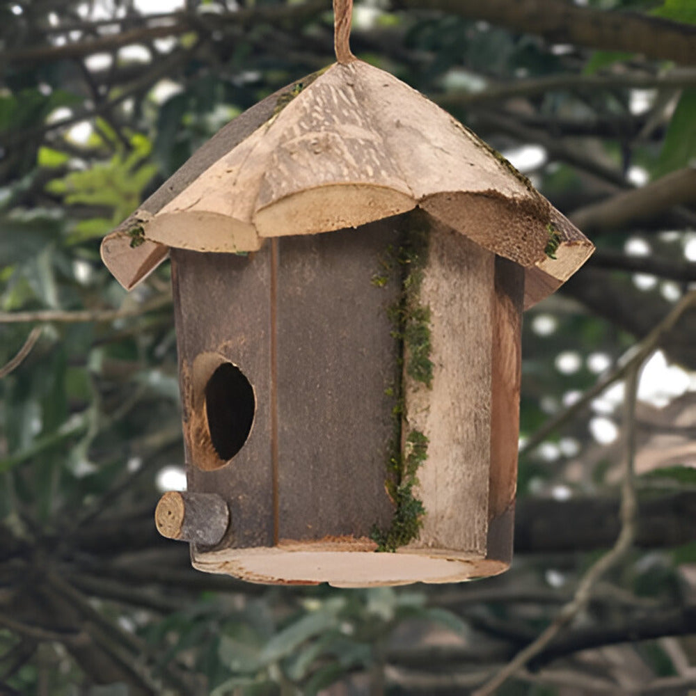 Domus - Encantadora casa rústica de madera para pájaros con diseño de colibrí