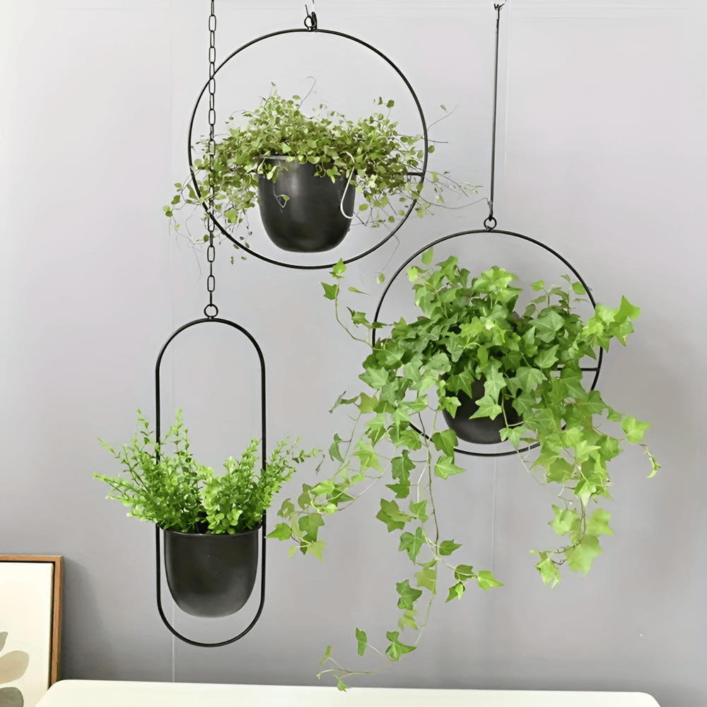Caelessa - Macetero de pared elegante y estilizado para un interior moderno