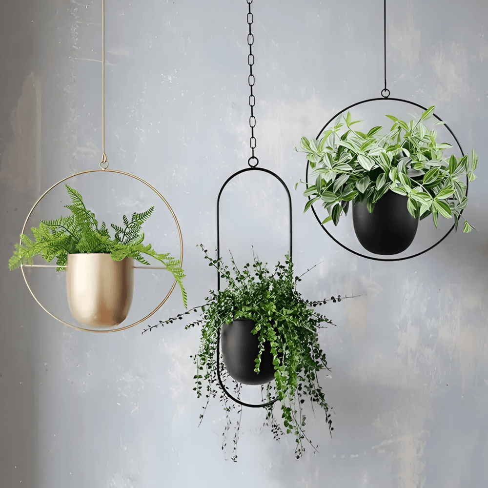 Caelessa - Macetero de pared elegante y estilizado para un interior moderno