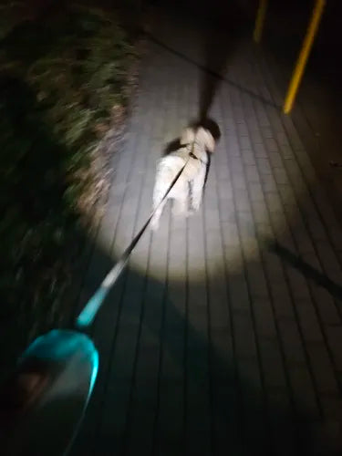 Seguridad definitiva para perros: iluminación LED y alcance de 5 m para paseos nocturnos