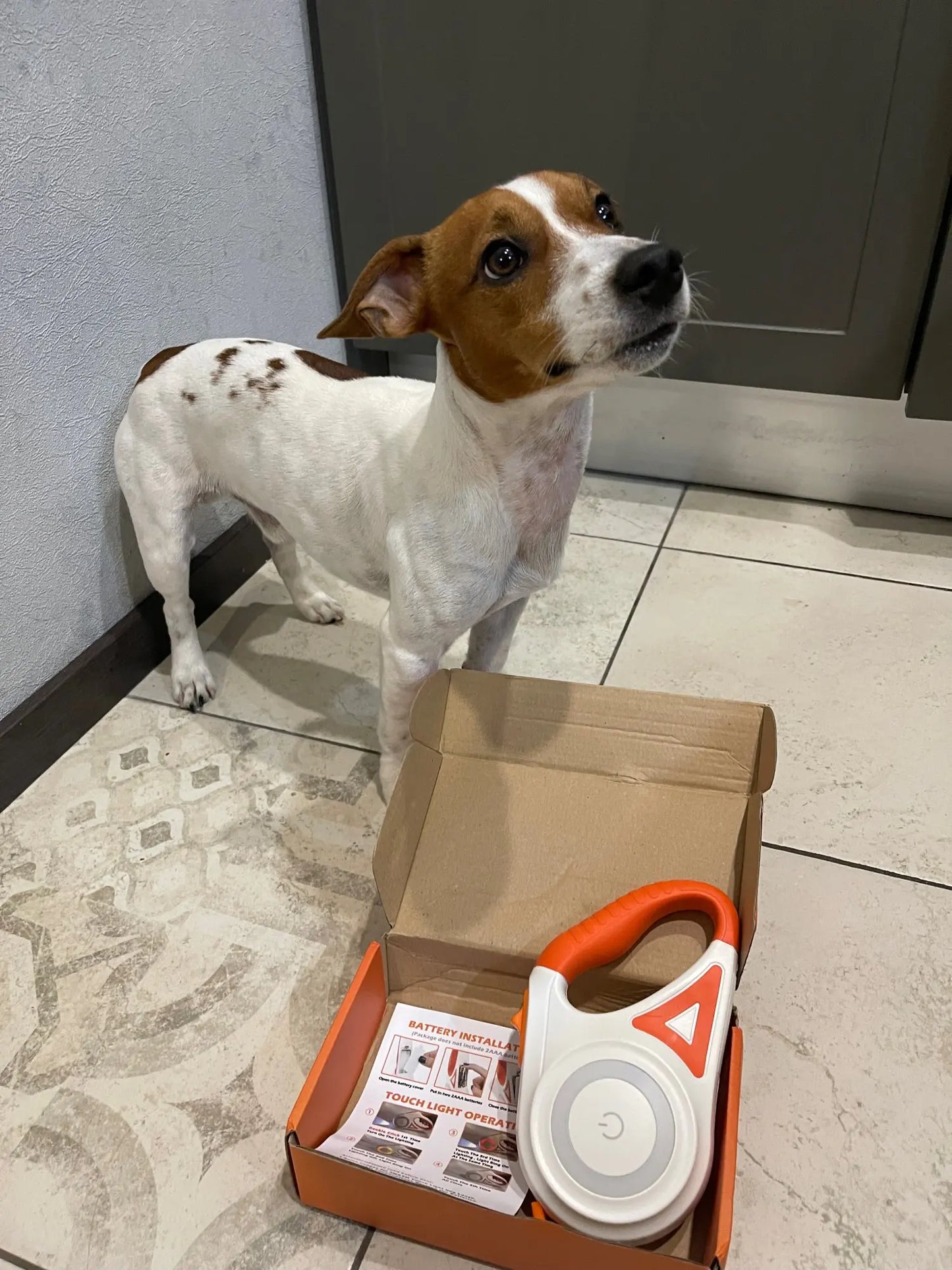 Seguridad definitiva para perros: iluminación LED y alcance de 5 m para paseos nocturnos