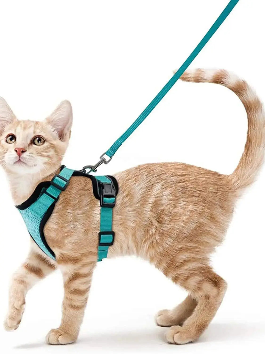 Arnés cómodo y seguro para caminar para gatos