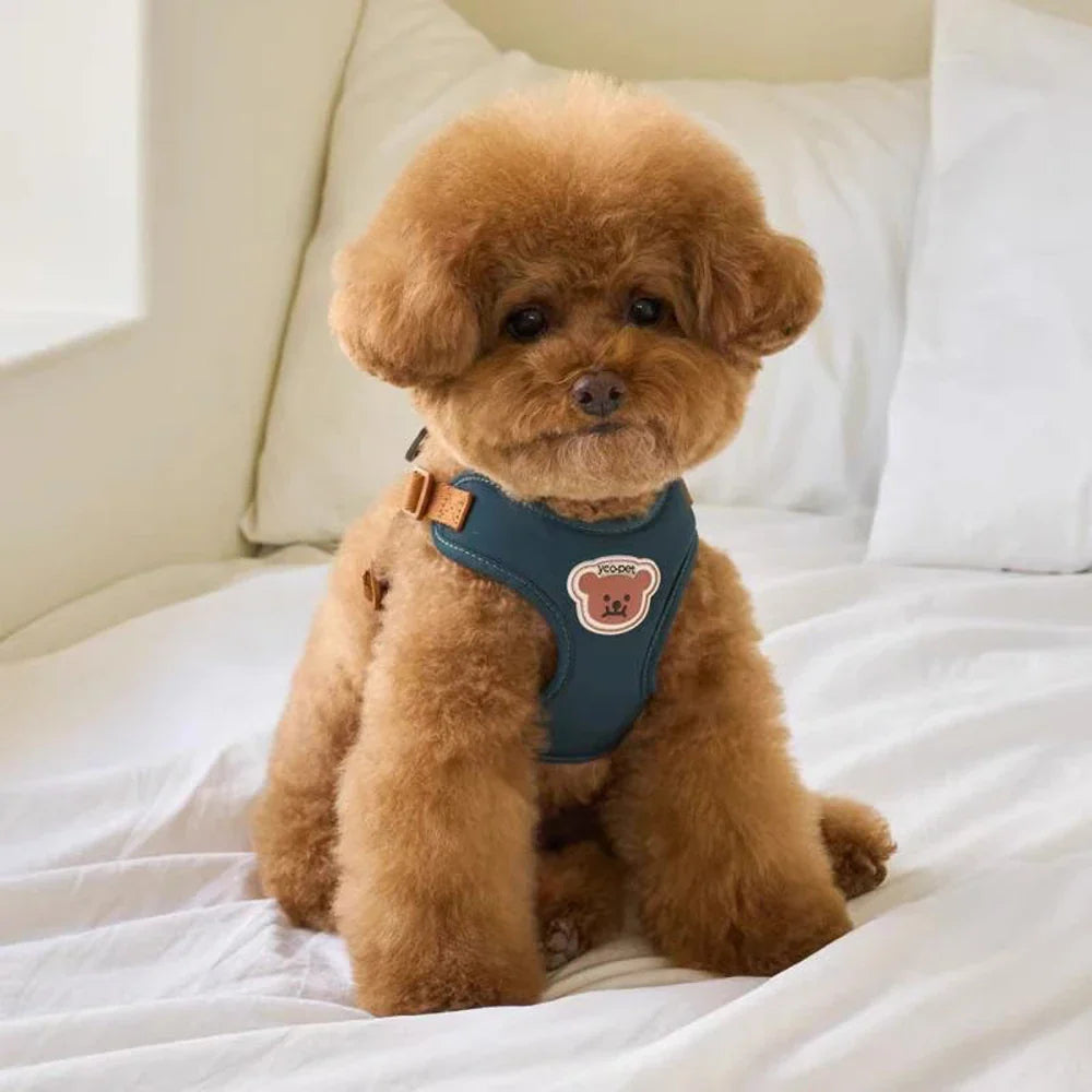 Arnés y correa lindos y ajustables para comodidad y seguridad