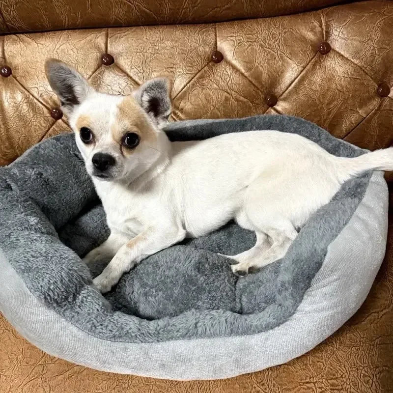 Cama cómoda y cálida para perros y gatos