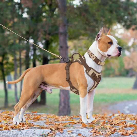 Arnés de perro ajustable Luxe para razas pequeñas y grandes