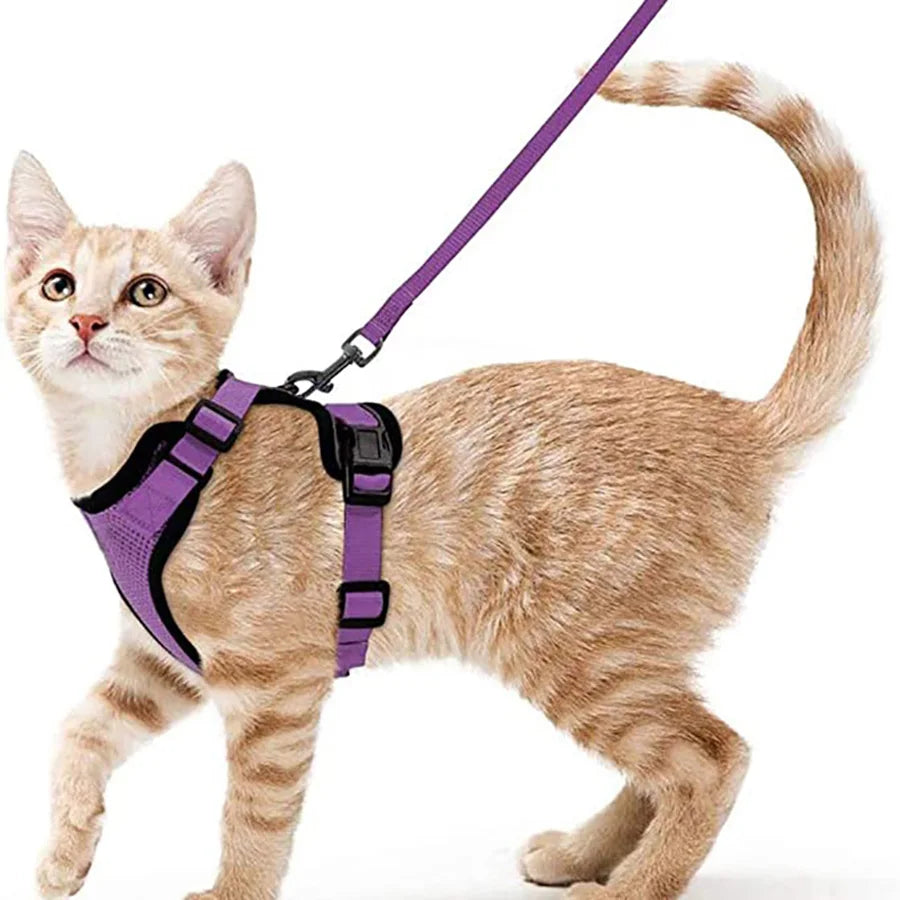 Arnés cómodo y seguro para caminar para gatos