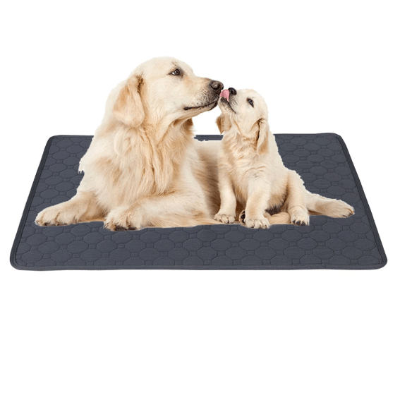 Almohadilla de Entrenamiento Reutilizable para Orina para Perros para una Práctica Fácil e Higiénica