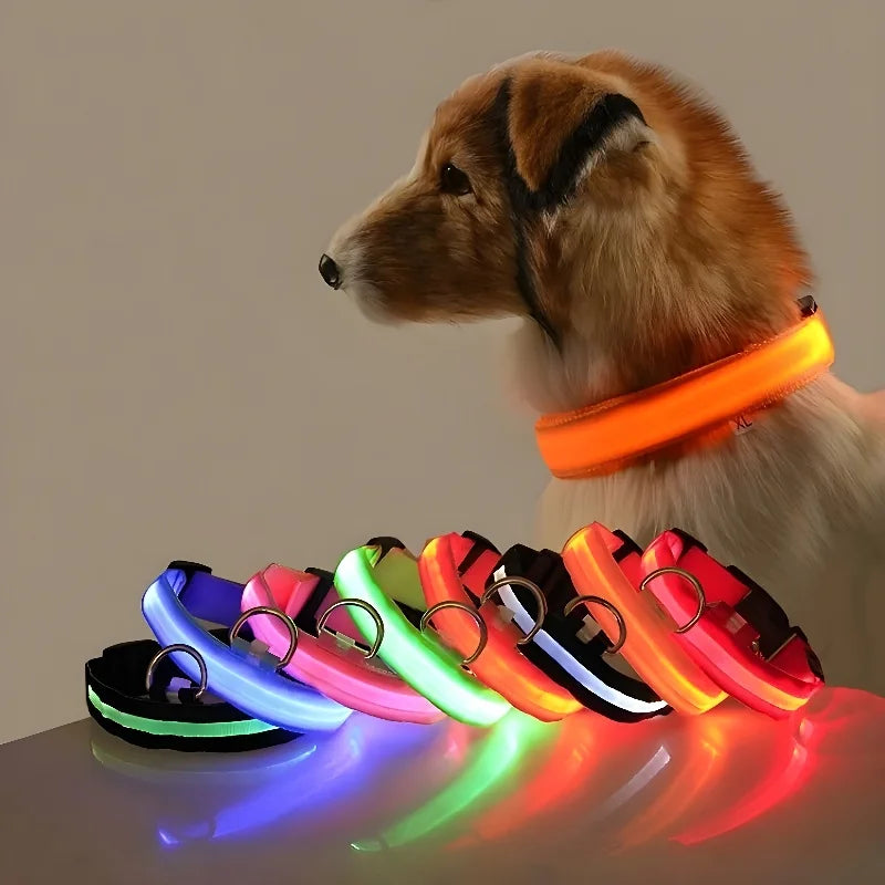 Collar para perro LED de lujo para máxima seguridad nocturna