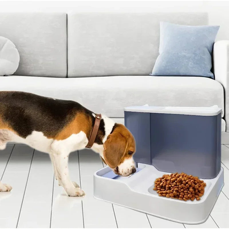 Juego de tazones automáticos de comida y agua Luxe para conveniencia y comodidad
