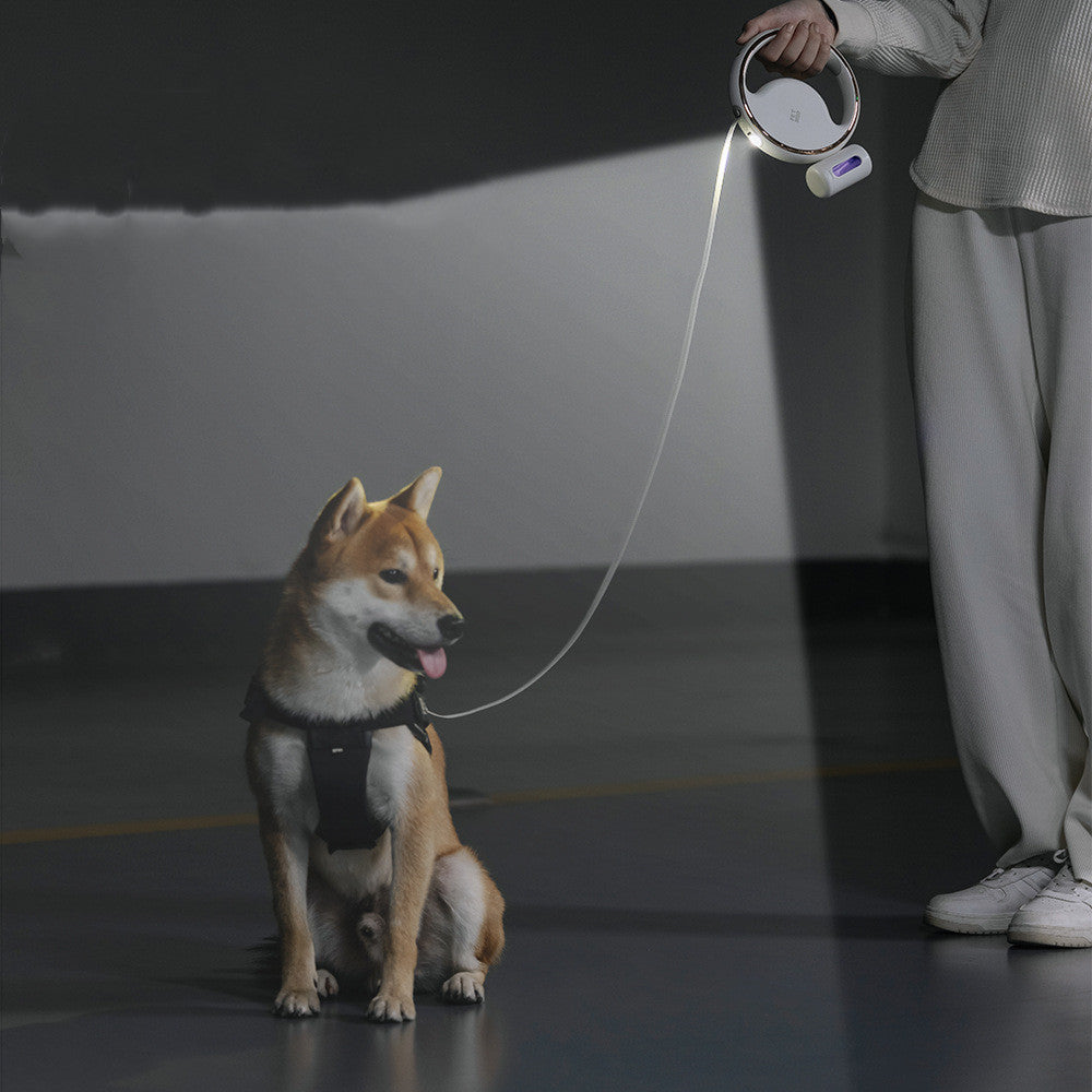 Correa reflectante para perro recargable por USB para comodidad y seguridad
