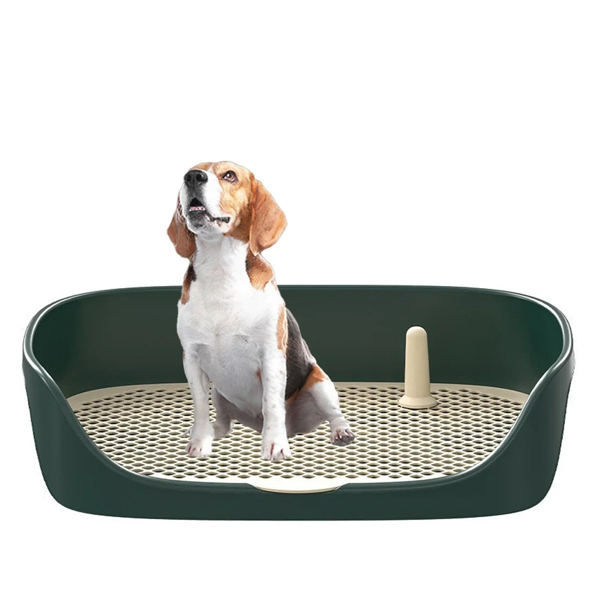 Enseña a tu perro a usar el orinal