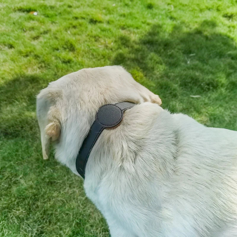 Collar para perro elegante con soporte incorporado para Airtag para un seguimiento definitivo