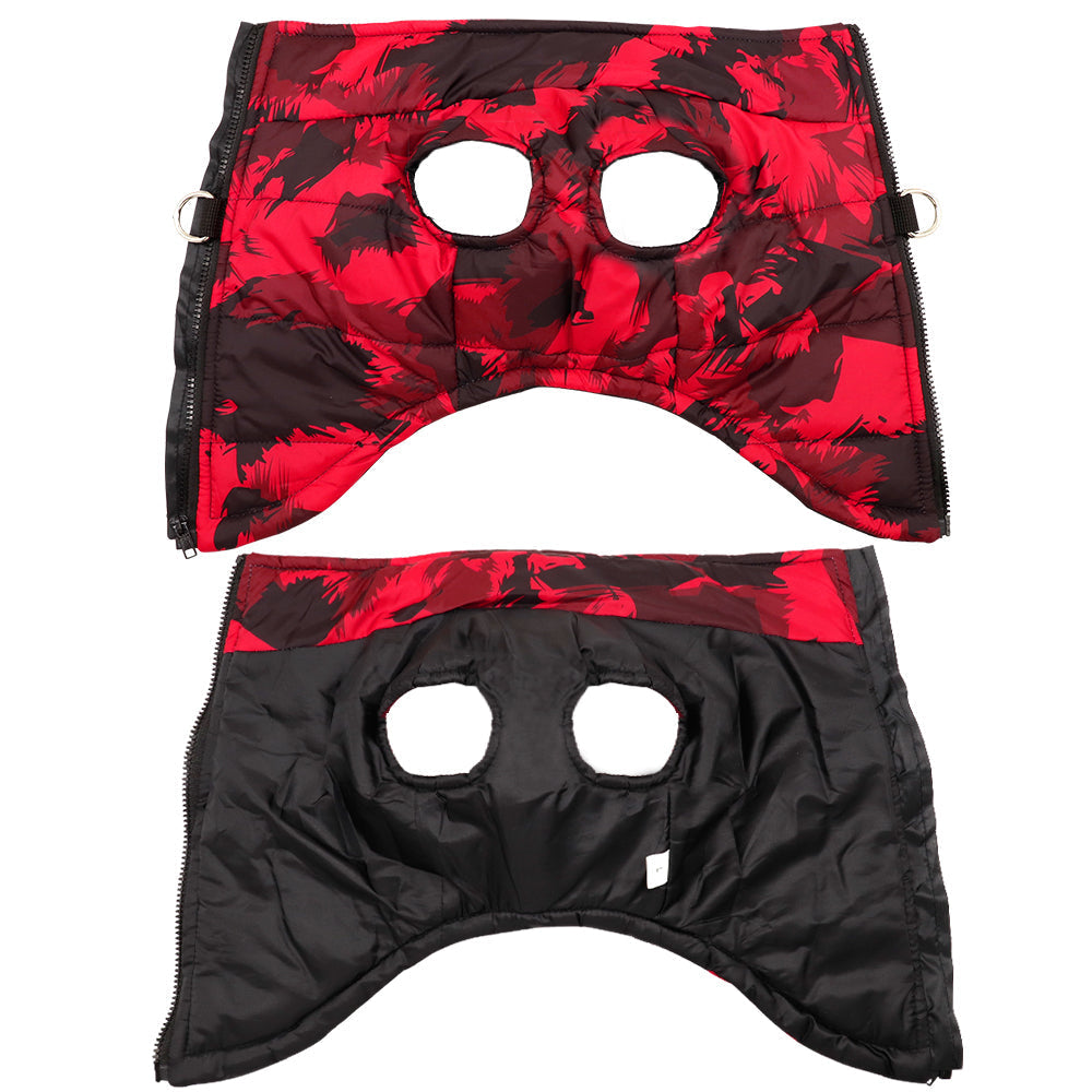 Estilo y comodidad acogedora de invierno para mascotas