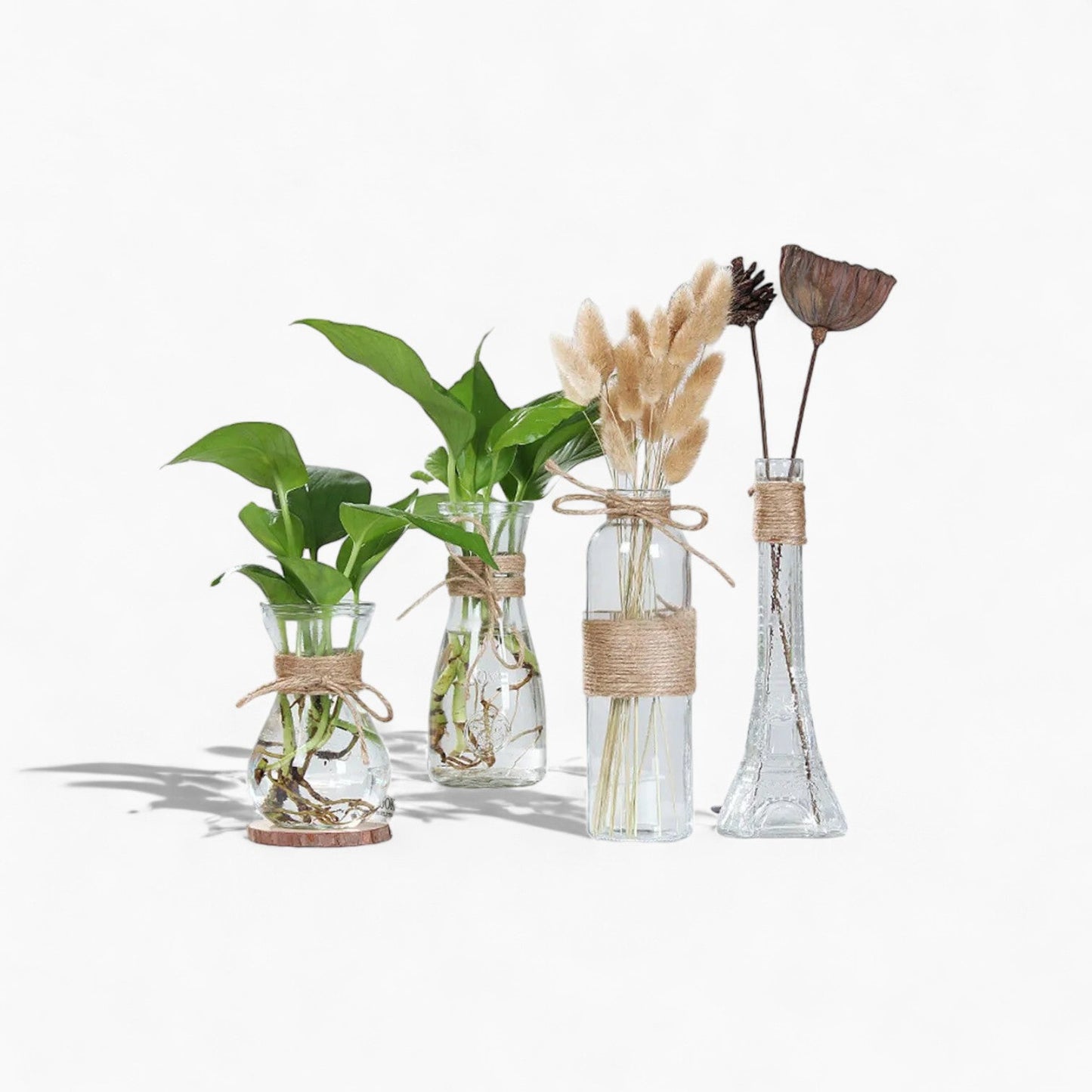 Jarrón de vidrio minimalista - Decoración elegante para mesa