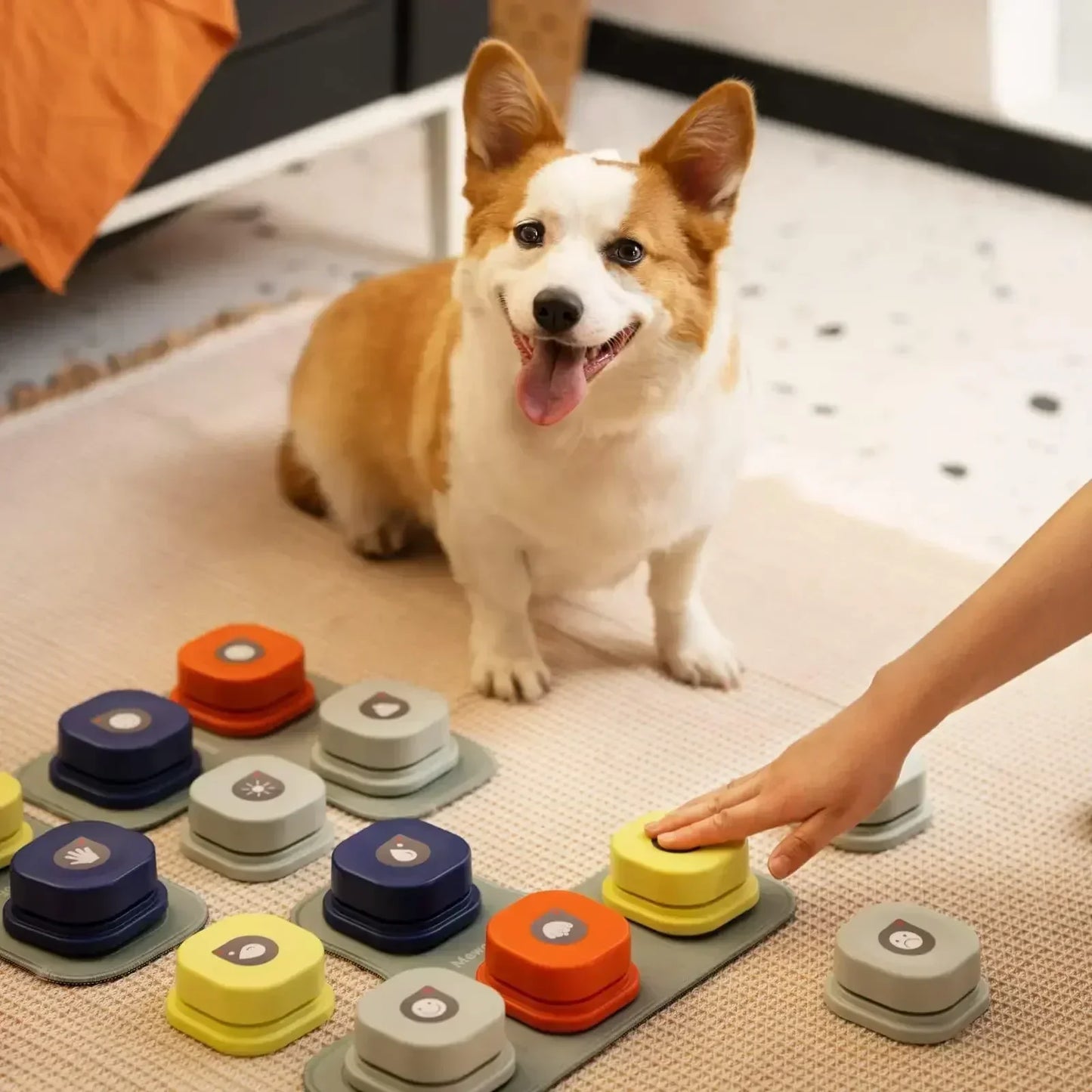 Conjunto de botones de animación para una mejor comunicación interactiva con perros