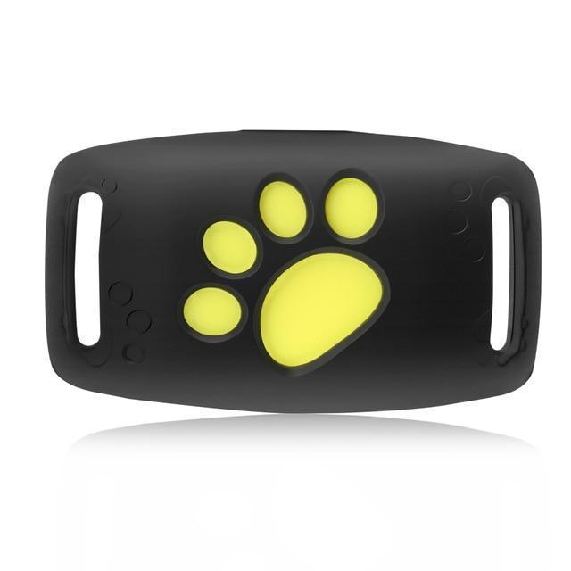 Sistema de rastreo GPS para gatos con seguimiento en vivo y actualizaciones en tiempo real