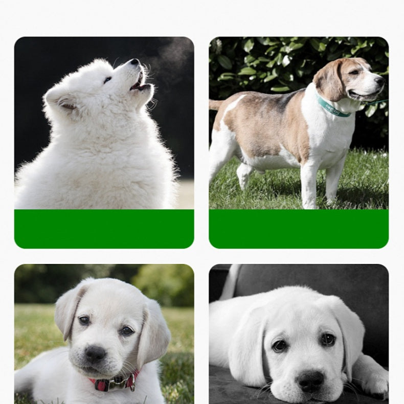 Esterilla de alimentación de silicona cómoda y flexible para una gestión fácil de la hora de la comida